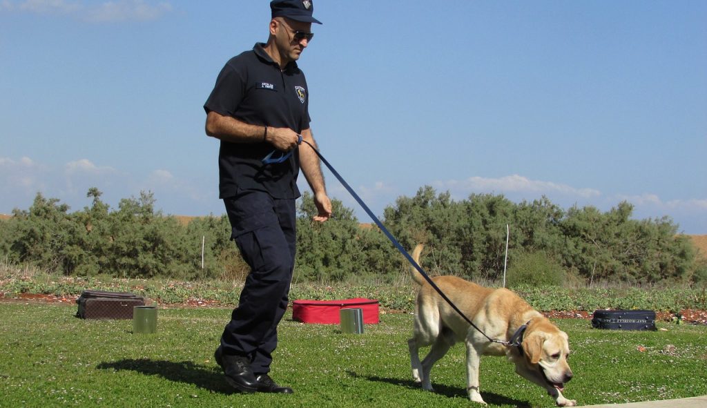 chien policier